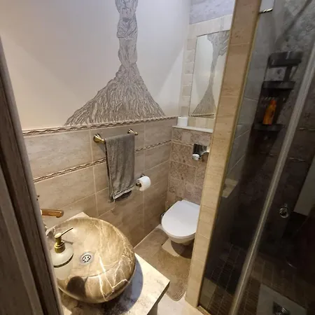 Sauna 5 Bedrooms In Old Town & Parking * Kaunas