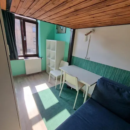 Sauna 5 Bedrooms In Old Town & Parking Apartmán