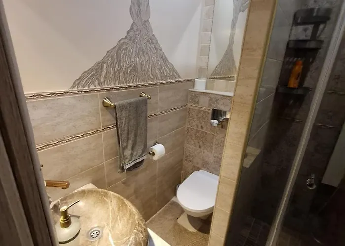 Sauna 5 Bedrooms In Old Town & Parking * Kaunas