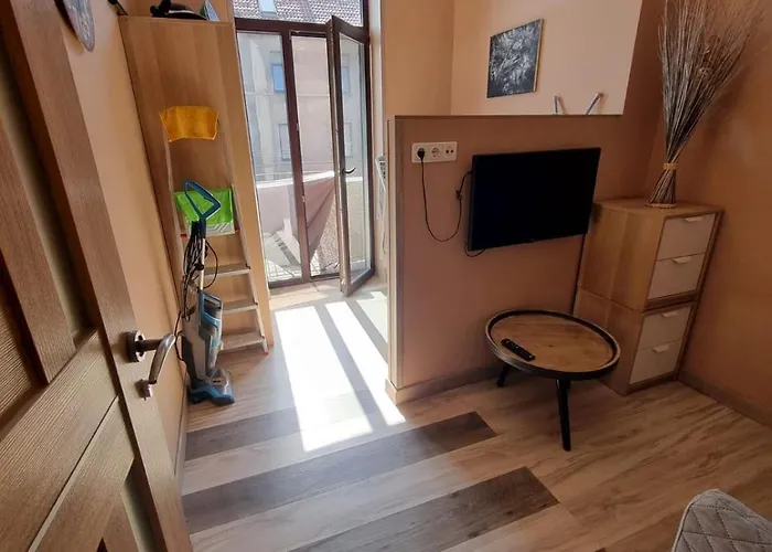 Lejlighed Sauna 5 Bedrooms In Old Town & Parking Kaunas